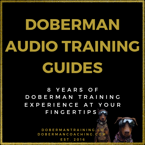 Doberman Audio Training Guides