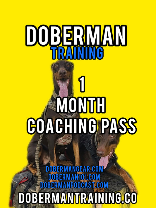 1 Month Fast Track Coaching Pass