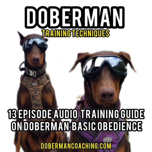 13 Episode Audio Training Guide